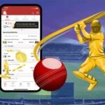 Best IPL Betting App: Top Picks for Cricket Fans